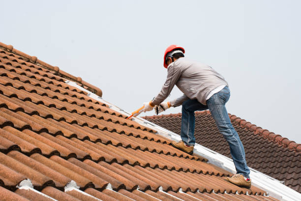 Professional Roofing service in Mississippi State, MS